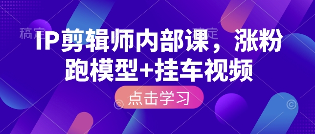 IP剪辑师内部课，涨粉跑模型+挂车视频-E网资源