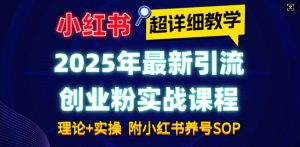 2025年最新小红书引流创业粉实战课程【超详细教学】小白轻松上手，月入1W+，附小红书养号SOP-E网资源