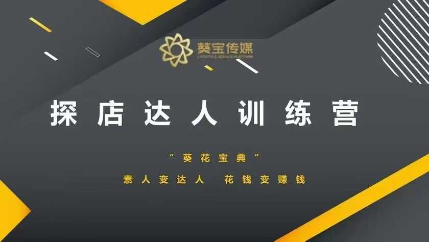 探店达人训练营，素人变达人，花钱变赚钱-E网资源