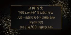 小红书神奇图片引流法，只需一张图，就能单条笔记凭借此方法，轻松引流 300 + 精准创业粉-E网资源