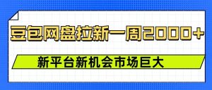 豆包网盘拉新，一周2k，新平台新机会-E网资源