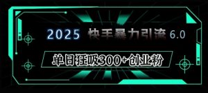 2025年快手6.0保姆级教程震撼来袭，单日狂吸300+精准创业粉-E网资源