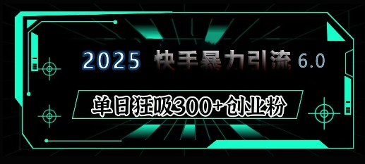 2025年快手6.0保姆级教程震撼来袭，单日狂吸300+精准创业粉-E网资源