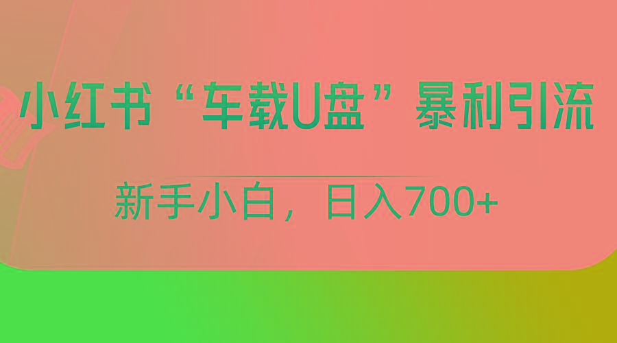 小红书“车载U盘”项目，暴利引流，新手小白轻松日入700+-E网资源