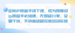 全案IP操盘手线下课，成为现象级ip操盘手必修课，无保留分享，全是干货，不讲废话超深度培训实操-E网资源