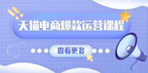 天猫电商爆款运营课程，爆款卖点提炼与流量实操，多套模型全面学习-E网资源
