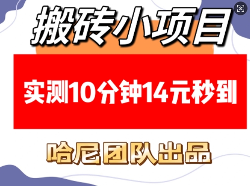搬砖小项目，实测10分钟14元秒到，每天稳定几张(赠送必看稳定)-E网资源