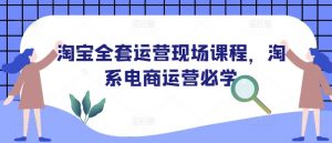 淘宝全套运营现场课程,淘系电商运营必学-E网资源