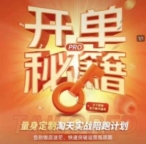 淘宝开单秘籍PRO，量身定制淘天实战陪跑计划，告别做店迷茫、快速突破运营瓶颈期-E网资源