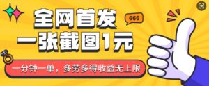 全网首发，一张截图1块钱，一分钟一单，多劳多得，收益无上限-E网资源
