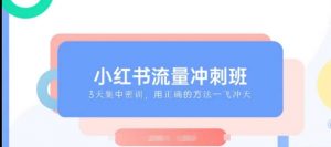 小红书流量冲刺班2025，最懂小红书的女人，快速教你2025年入局小红书-E网资源
