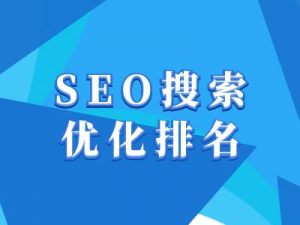 抖音搜索SEO教程，抖音SEO搜索优化排名-E网资源