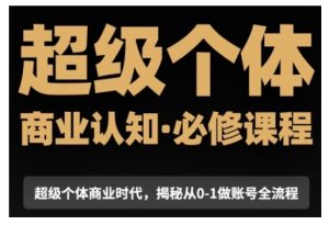 超级个体商业认知觉醒视频课，商业认知·必修课程揭秘从0-1账号全流程-E网资源