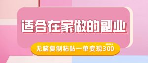 适合在家做的副业，小红书冷知识账号，无脑复制粘贴一单变现300-E网资源