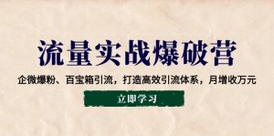 流量实战爆破营：企微爆粉、百宝箱引流，打造高效引流体系，月增收万元-E网资源