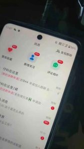 抖音小红书视频号全品类自动化引流获客，每日精准引流目标粉丝200+-E网资源