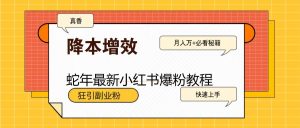 蛇年最新小红书爆粉教程，狂引副业粉，月入万+必看-E网资源