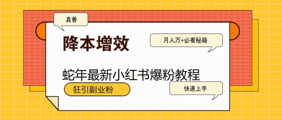 蛇年最新小红书爆粉教程，狂引副业粉，月入万+必看-E网资源