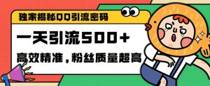 独家解密QQ里的引流密码，高效精准，实测单日加100+创业粉【揭秘】-E网资源