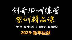 2025年“知识付费IP训练营”小白避坑年赚百万，暴力引流，闪电成交-E网资源
