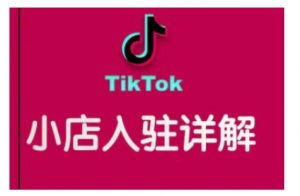 TikTok跨境小店运营全攻略，帮助你独立运营TK跨境小店的能力，实现销量增长-E网资源
