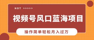 视频号风口蓝海项目，中老年人的流量密码，操作简单轻松月入过万-E网资源