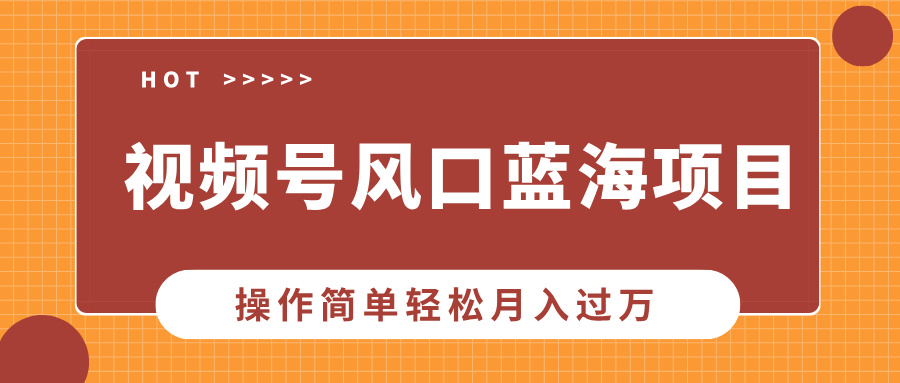视频号风口蓝海项目，中老年人的流量密码，操作简单轻松月入过万-E网资源