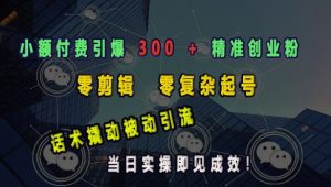 小额付费引爆 300 + 精准创业粉，零剪辑、零复杂起号，话术撬动被动引流，当日实操即见成效-E网资源