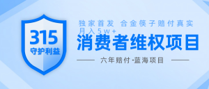 维Q赔付合金筷子玩法小白也能月入5w+风口项目实操-E网资源
