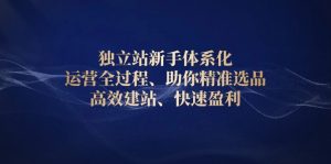 独立站新手体系化 运营全过程，助你精准选品、高效建站、快速盈利-E网资源
