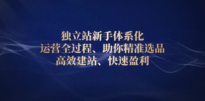 独立站新手体系化 运营全过程，助你精准选品、高效建站、快速盈利-E网资源