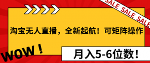 淘宝无人直播，全新起航！可矩阵操作，月入5-6位数！-E网资源