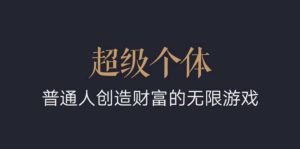 超级个体：2024-2025翻盘指南，普通人创造财富的无限游戏-E网资源