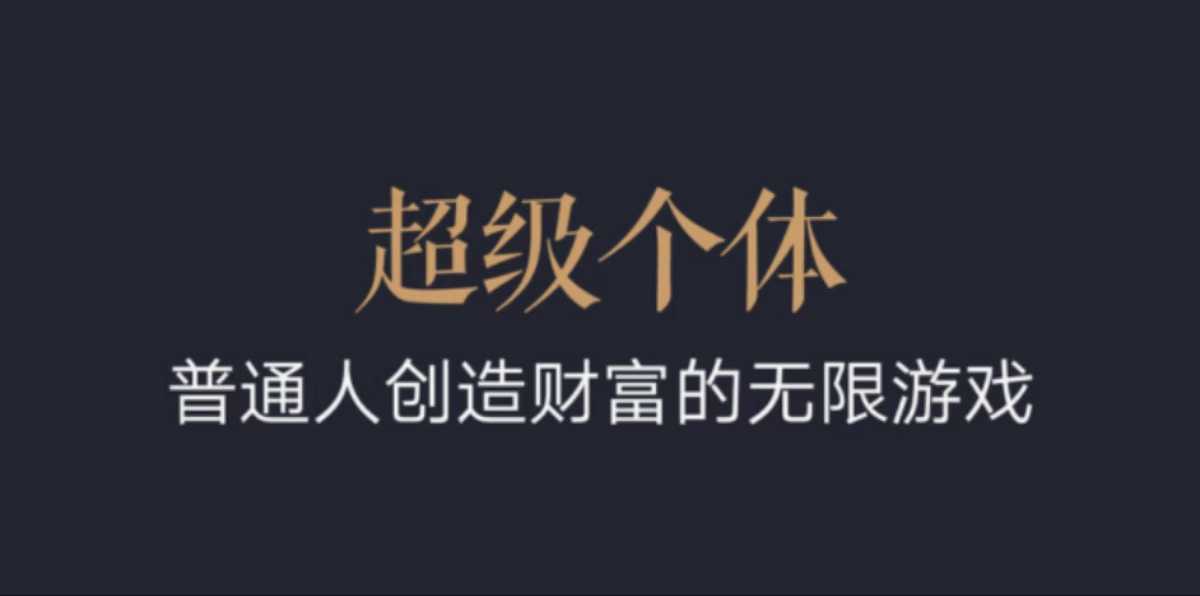 超级个体：2024-2025翻盘指南，普通人创造财富的无限游戏-E网资源