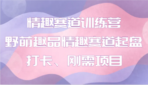 情趣赛道训练营 野萌趣品情趣赛道起盘打卡、刚需项目-E网资源