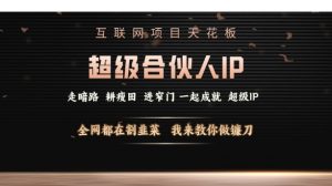 互联网项目天花板，超级合伙人IP，全网都在割韭菜，我来教你做镰刀【仅揭秘】-E网资源