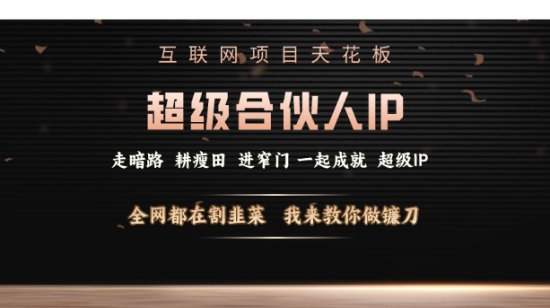 互联网项目天花板,超级合伙人IP,全网都在割韭菜,我来教你做镰刀【仅揭秘】-E网资源