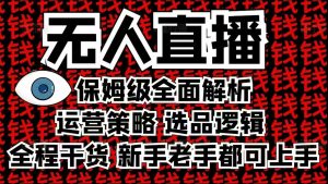 2025无人直播这么做就对了，保姆级全面解析，全程干货，新手老手都可上手-E网资源