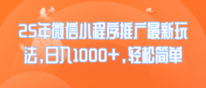 25年微信小程序推广最新玩法，日入1000+，轻松简单-E网资源
