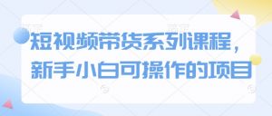 短视频带货系列课程，新手小白可操作的项目-E网资源