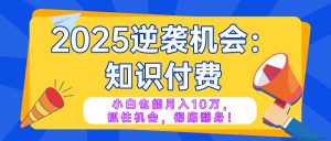 2025逆袭项目——知识付费，小白也能月入10万年入百万，抓住机会彻底翻...-E网资源