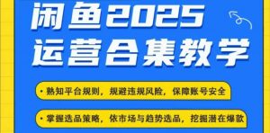 2025闲鱼电商运营全集，2025最新咸鱼玩法-E网资源