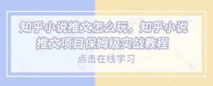知乎小说推文怎么玩，知乎小说推文项目保姆级实战教程-E网资源