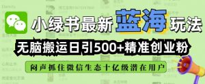 小绿书无脑搬运引流，全自动日引500精准创业粉，微信生态内又一个闷声发财的机会-E网资源