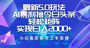 今日头条最新5.0玩法，思路简单，复制粘贴，轻松实现矩阵日入2000+-E网资源