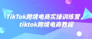 TikTok跨境电商实操训练营，tiktok跨境电商教程-E网资源