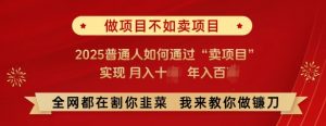 必看，做项目不如卖项目，2025普通人如何通过“卖项目”实现月入十个，年入百个-E网资源