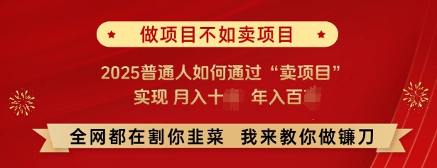 必看，做项目不如卖项目，2025普通人如何通过“卖项目”实现月入十个，年入百个-E网资源