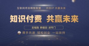 别人苦寻无果，为何他们靠知识付费卖项目 2025 年轻松年入100个?【揭秘】-E网资源