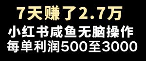 最赚钱项目之一，2025爆火，逆风翻盘！-E网资源